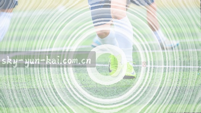 办公电话：010-12345678 | 邮箱：contact@example.com